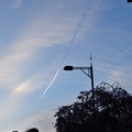 写真: 春風になびく飛行機雲