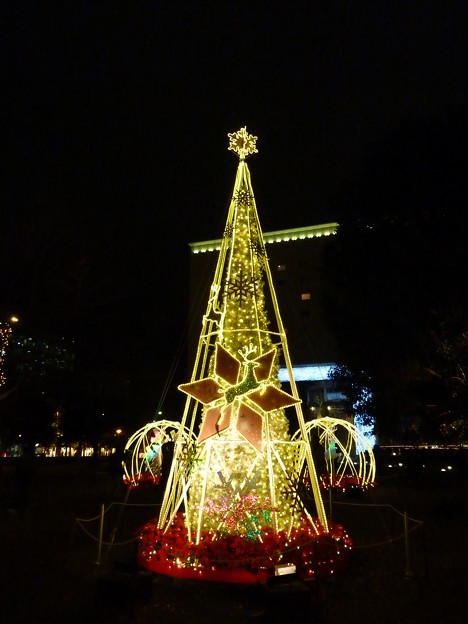 写真: [横浜] みなとみらい｜クリスマスツリー｜Xmasイルミネーション2012