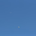 写真: 飛行機と凧