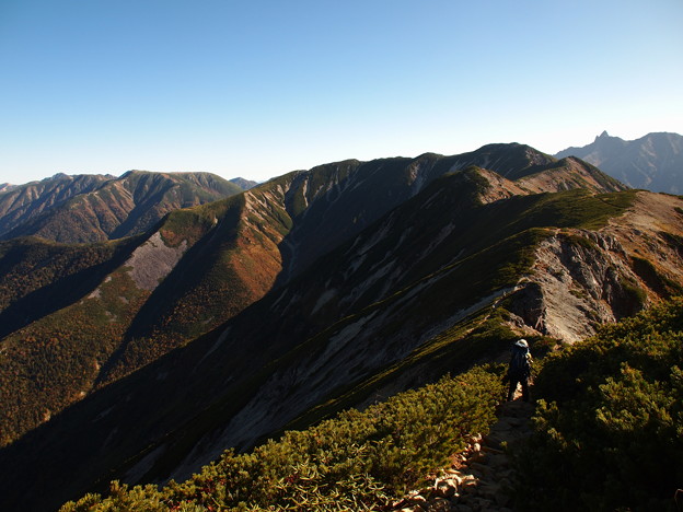 写真: 抜戸岳への稜線