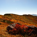 写真: 草紅葉の丘