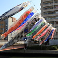写真: 南海堺駅前　鯉のぼり