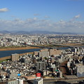 写真: 梅田スカイビル展望台から見た風景