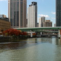 写真: 淀屋橋から見た風景