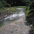 Photos: 2008年8月〔54-3〕白馬旅行　白線流しの川かな？「早春物語」（妻撮影）