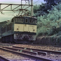 【ネガ】1985年　客車急行（列車名不明）