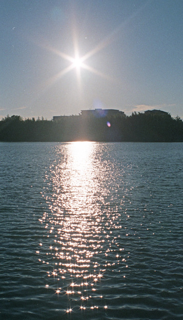 写真: 【ネガ】太陽とキラキラ
