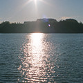 写真: 【ネガ】太陽とキラキラ
