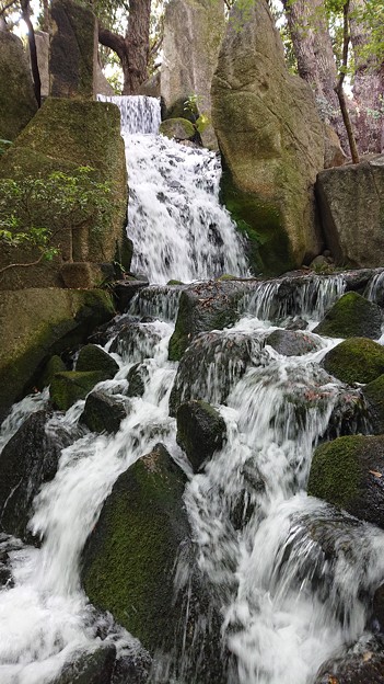 写真: 園内に作られた小さい滝