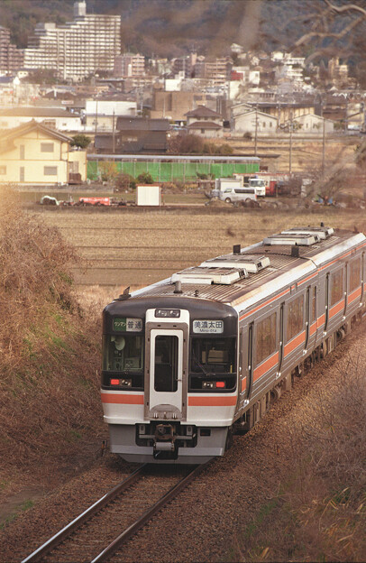 【ネガ】ワンマン列車