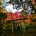 写真: 東郷神社