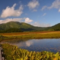 写真: 池塘と至仏山