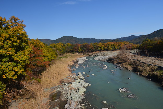 写真: 秋の荒川