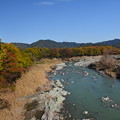 写真: 秋の荒川