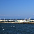 片瀬漁港