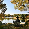 Photos: 秋色の公園(2020)