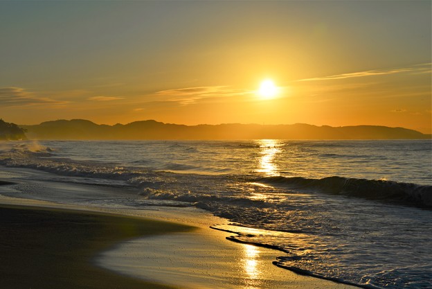 写真: 朝の海岸
