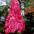 写真: 街路にピンクのツリー（１）