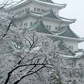名古屋城と雪