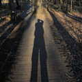 写真: Silhouette-shadow：東大柏キャンパス_13131a