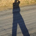 写真: Silhouette-shadow：堤防の道_13127