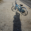 写真: Silhouette-shadow：東大柏キャンパス_13309