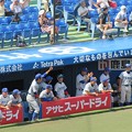 写真: 東大野球部（2013秋、開幕戦）