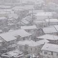 積雪（2014年2月4日16：07撮影、さいたま市浦和区にて）