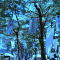 ROCK IN JAPAN FESTIVAL 2012