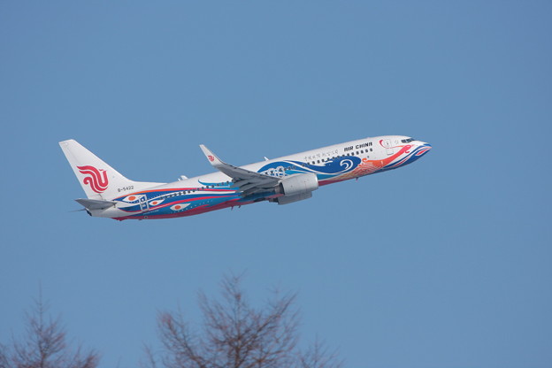 写真: B737-800 B-5422 Air China CA CTS 2011.02