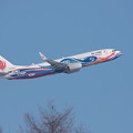 写真: B737-800 B-5422 Air China CA CTS 2011.02