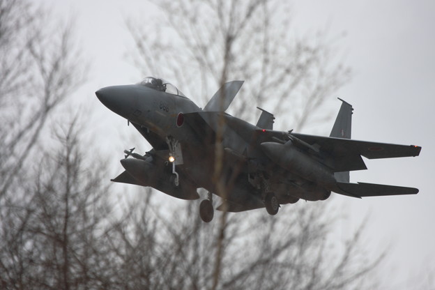 写真: F-15J Full Armed ? 2013.4