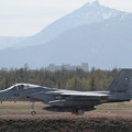 写真: F-15J 遠方より 204sq  2013.05