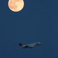 Photos: CRJと満月