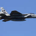 写真: F-15J 闘 羆 201sq TAC Meet 2013