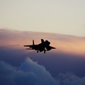 写真: F-15 Approach 2013.11