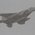 写真: F-15J 雪ふってる (1)