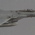 写真: F-15J 雪ふってる (2)