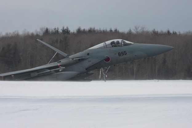 写真: F-15J 雪ノ中