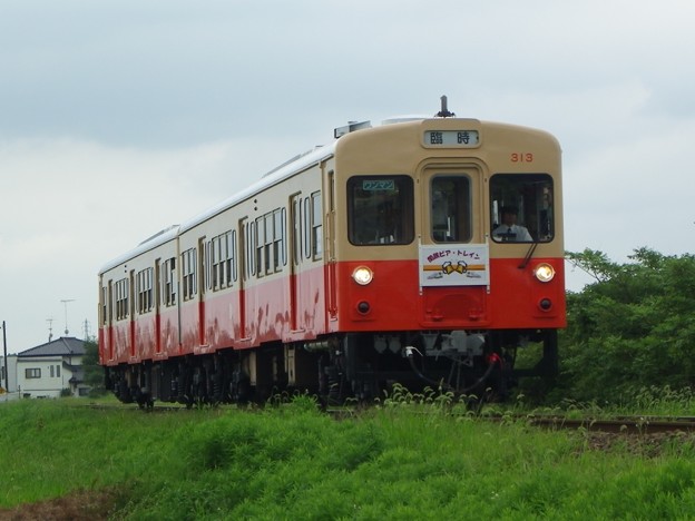 写真: キハ313＋キハ314 関鉄納涼ビール列車