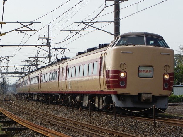 写真: 183系田町車 H81編成 集約臨時列車