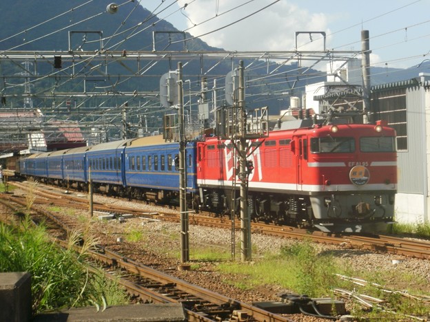 EF81 95＋24系6B＋EF64 37 団体臨時列車「越後」