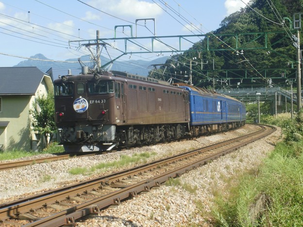 EF81 95＋24系6B＋EF64 37 団体臨時列車「越後」(後追い)