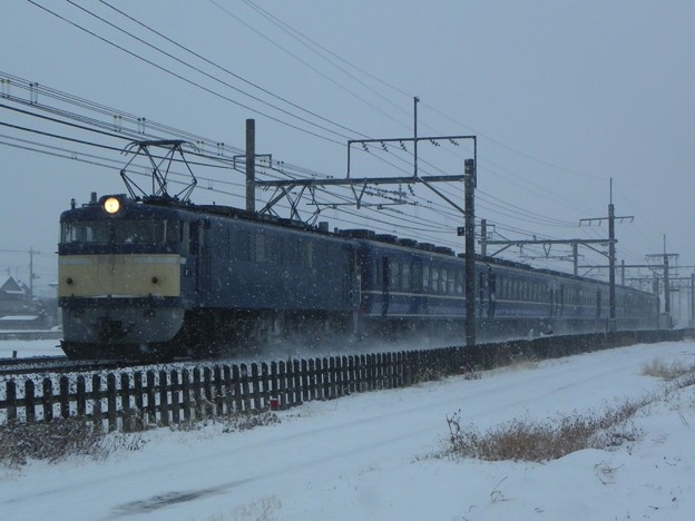 写真: EF60 19＋12系5B＋EF65 501 第3回カナロコ列車 "急行「かながわ」"