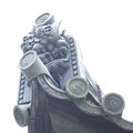 興福寺東金堂の鬼瓦