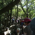 Photos: 八郎岳、兜岳に登ってきました