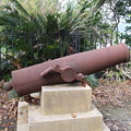 写真: ドンの山の大砲