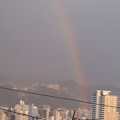 写真: 虹　３