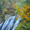 写真: 滝と紅葉