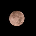 写真: 望月1